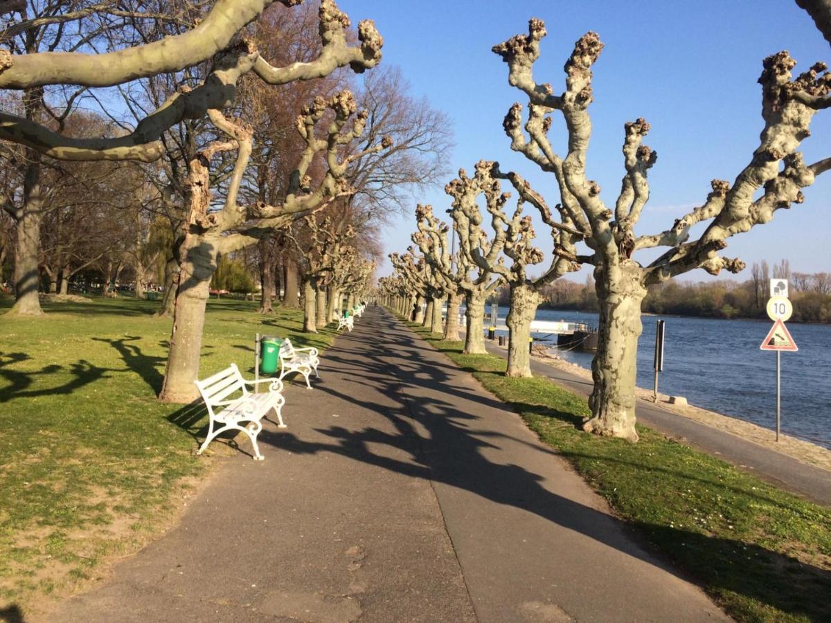 Hotel Krone Ruedesheim Rüdesheim am Rhein Kültér fotó