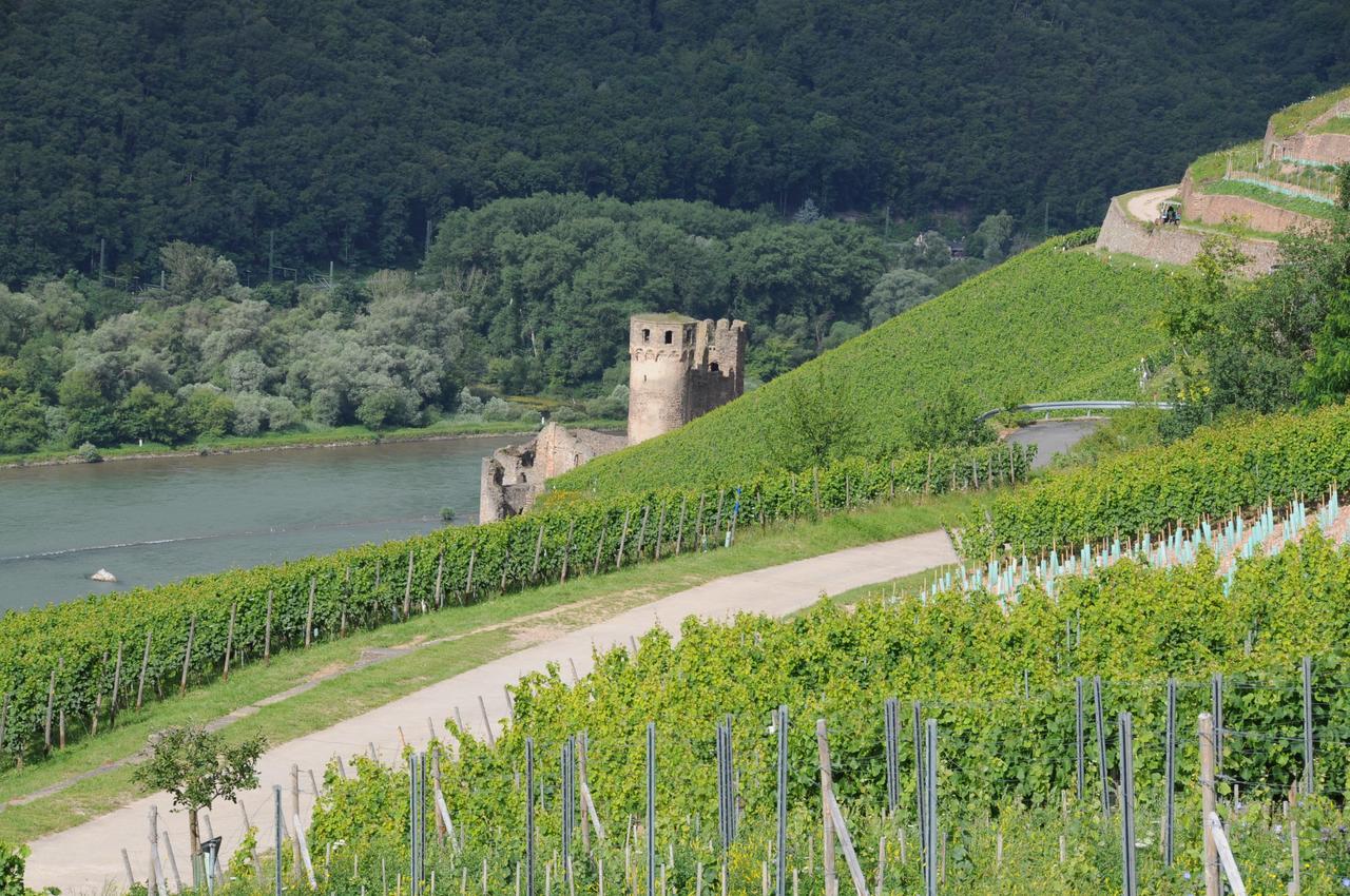 Hotel Krone Ruedesheim Rüdesheim am Rhein Kültér fotó